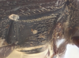 Margadillius magnus 10430