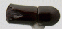 Stictodex cuspidus specimen from Borneo