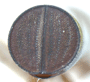 Amasa anomala declivity