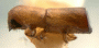 Amasa similis